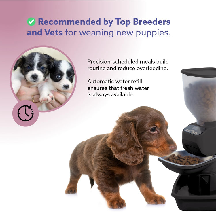 Feeding Friend® Automatic Dog & Cat Food Feeder with Water Dispenser –Smart Pet Feeder with Portion Control, OLED Display, Anti Jam Design, Battery Operated Dispenser for Small - (XS) Pets 4-15 Taupe
