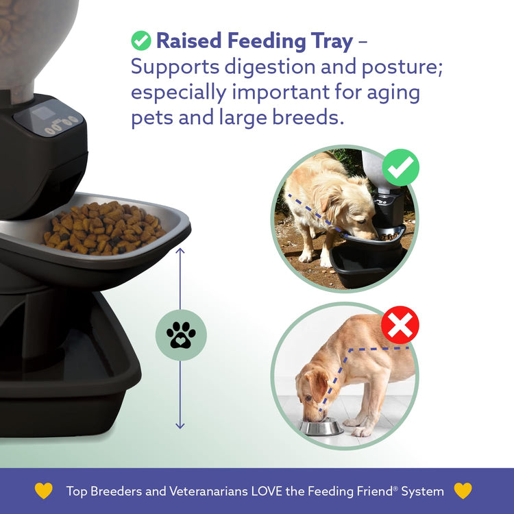 Feeding Friend® Automatic Dog & Cat Food Feeder with Water Dispenser –Smart Pet Feeder with Portion Control, OLED Display, Anti Jam Design, Battery Operated Dispenser for Small - (XS) Pets 4-15 Taupe