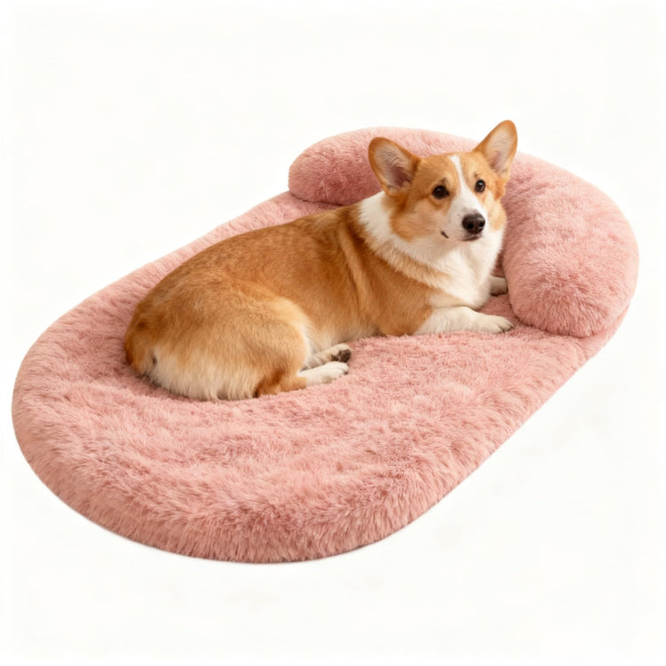 Orthopedic Dog Bed with Egg-Crate Base, Calming Dog & Cat Beds Long Plush with Raised Edges, Spine Friendly Pet Sleeping Mat for Small Medium Dogs, Machine Washable (Oval, Beige 26"x20")