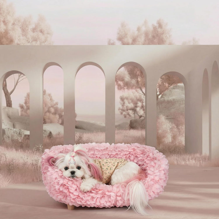 halinfer Modern Pet Sofa for Small to Medium Cats and Dogs, Up to 20 Pounds, Living Room and Bedroom Pet Furniture Bed