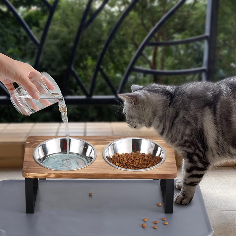 Upgraded Elevated Cat Bowls with Food Mat,15°Tilted Stand Anti Vomiting Raised Cat Dishes for Food and Water,2 Stainless Steel Bowls for Cats and Puppy
