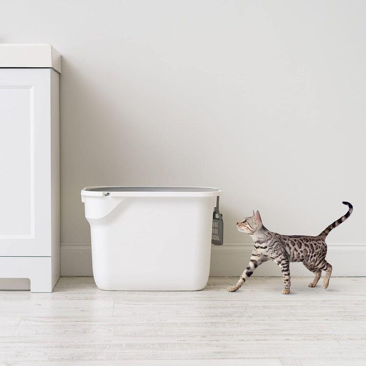 IRIS USA Cat Litter Box Large Open Top with High Sided Walls Tall Scatter Shield Scoop Included Easy Clean Plastic Pan Stain Resistant for Big Cats Kittens Indoor Multi-Cat Households