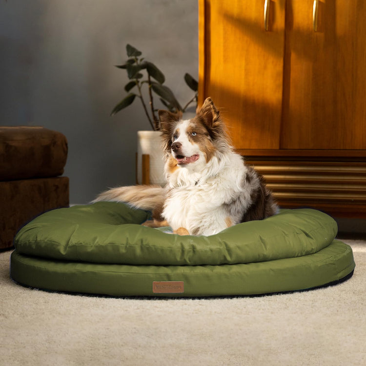 ClevaHome Cat Dog Bed for Small Pets up to 15lbs - Round Cat Beds for Indoor Cats, Machine Washable Comfortable Pet Bed for Puppy and Kitten with Non-Slip Bottom (Washed Green)