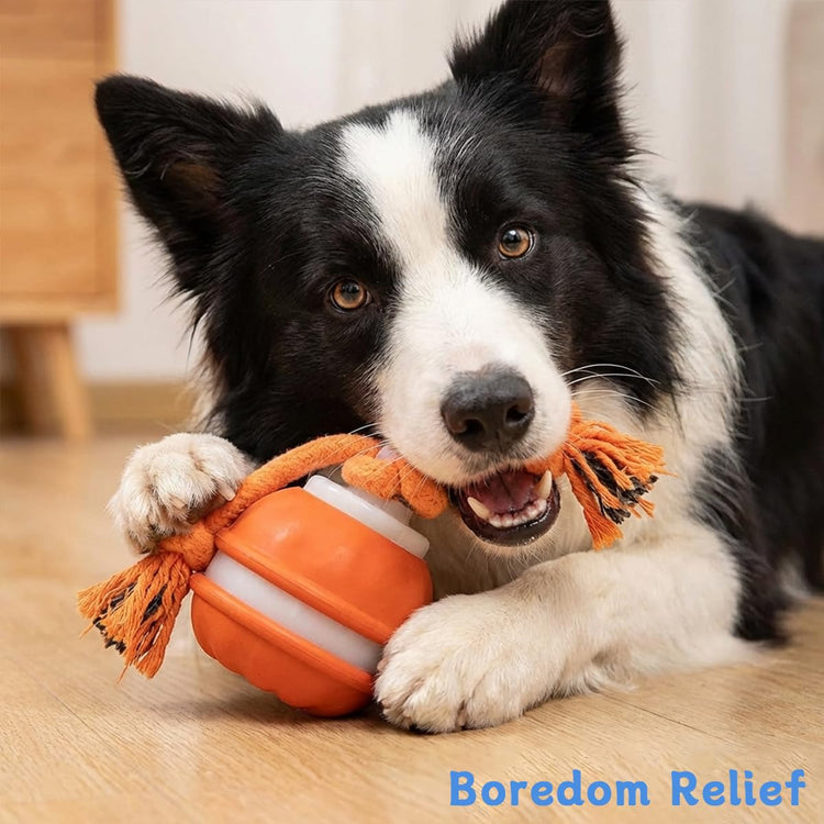 Zealburst Interactive Dog Toy Ball, 2026 Upgraded Motion Activated Rolling Ball with Squeaky Sounds, 360° Smart Automatic Moving Toy for Bored Cats & Dogs, Indoor & Outdoor Pet Exercise Toy (Blue)