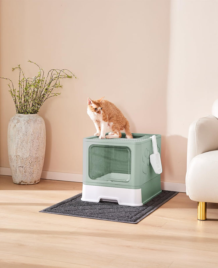 Medario Cat Litter Box with Litter Mat and Scoop, Large Covered Litter Box with Lid, Enclosed Kitty Box, Front Entry Top Exit, Odor Control, Easy to Clean (Grey)