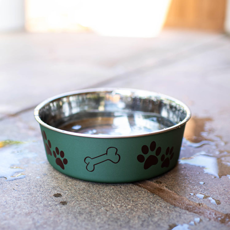 Loving Pets Bella Dog Bowls- Stainless Steel Dog & Cat Bowls - Spill Proof Dog Food Bowl, Cat Bowl, Puppy Essentials & Pet Supplies Great for Home & Travel (Medium 20-35 lbs, Blueberry)