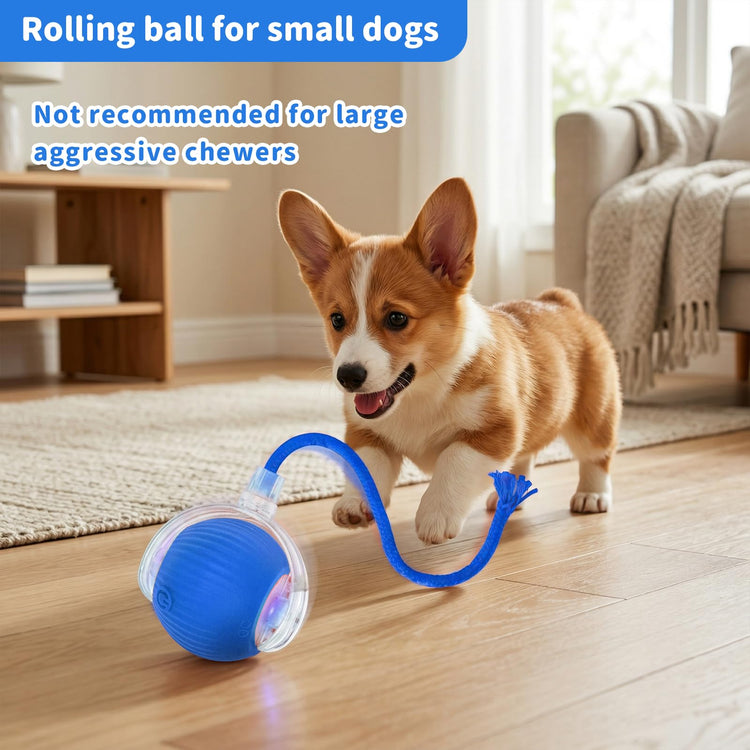 Interactive Cat Toys for Indoor Cats Smart Automatic Ball Rolling for Bored Kitten Pet Upgraded Speedy Moving Chase Dogs Toy Mothers Day Gifts Red