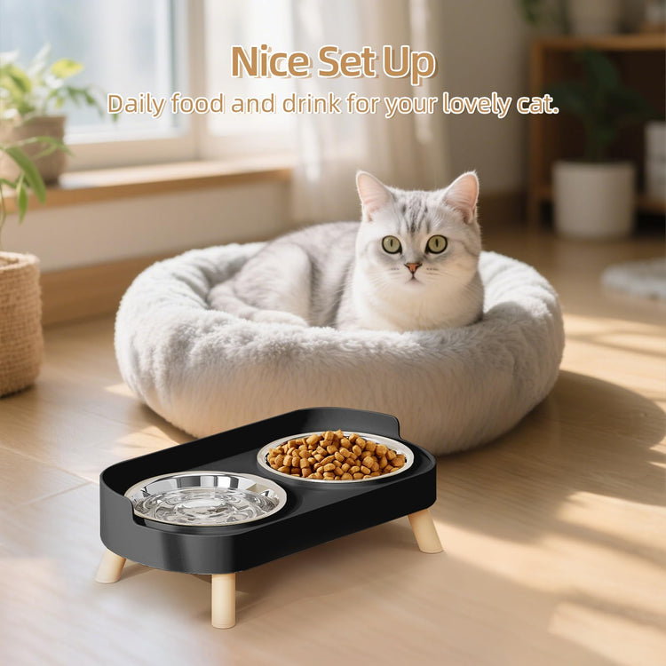 Elevated Cat Bowl, Raised Cat Food and Water Bowl Set for Indoor Cats, Splash Proof with 2 Stainless Steel Pet Food Bowls for Cats and Puppies, Whisker Fatigue and Dishwasher Safe - White