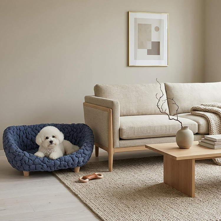 halinfer Modern Pet Sofa for Small to Medium Cats and Dogs, Up to 20 Pounds, Living Room and Bedroom Pet Furniture Bed