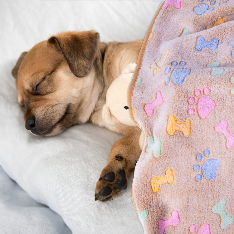 Dono 1 Pack 3 Dog Blankets, Soft Fluffy Fleece Pet Blanket Warm Sleep Mat Paw Print Design Puppy Kitten Throw Blanket Doggy Mat Blanket for Dogs