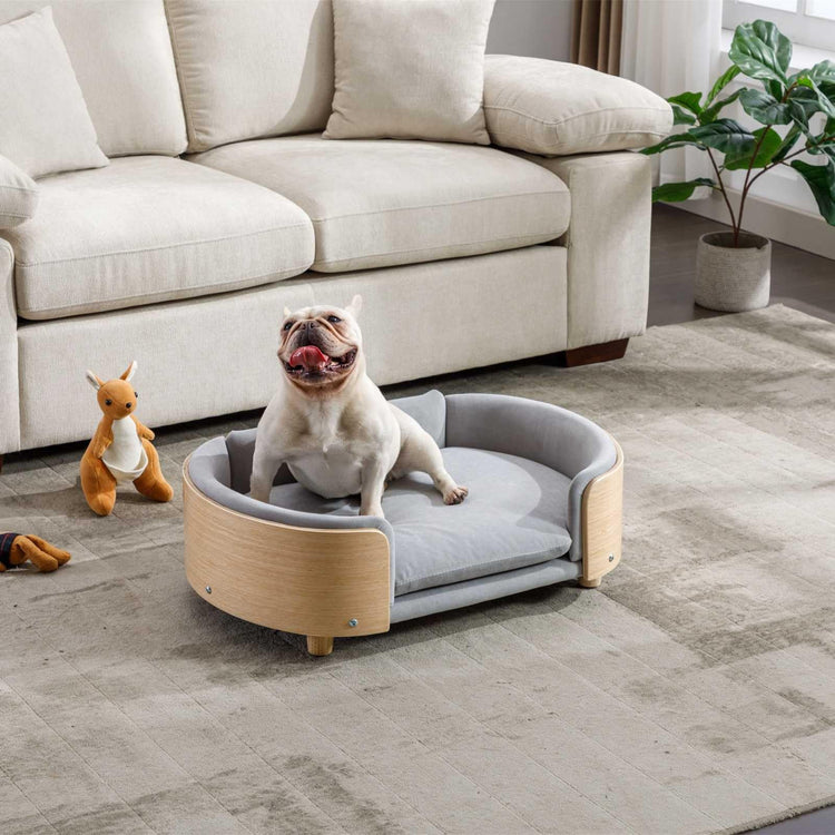 Velvet Dog Bed Pet Sofa with Solid Wood Legs and Bent Wood Back, Stain-Resistant Cushion in Multiple Colors - Luxury Pet Furniture for Cats and Dogs, Dark Grey