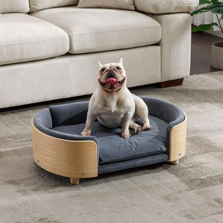 Elevated Dog Bed Pet Sofa with Solid Wood Legs and Bent Soft Backrest, Pet Cat Stool Bed with Velvet Cushion,for Small and Medium Size Dogs Kitten, Dark Gray, Small Size
