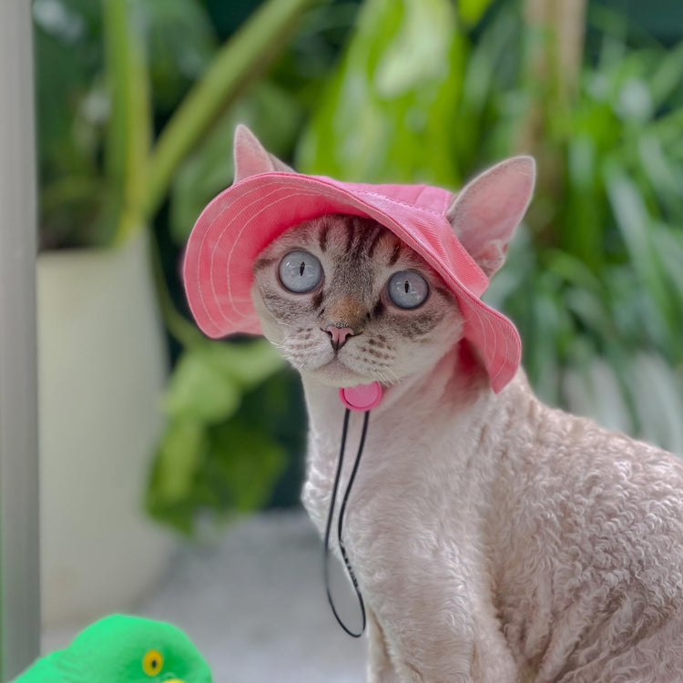 Pet hat with Ear Holes Sunscreen Baseball Cap Suitable for Small and Medium-Sized Dogs Outdoor Climbing hat in Summer Pet Products (Pink, Medium)