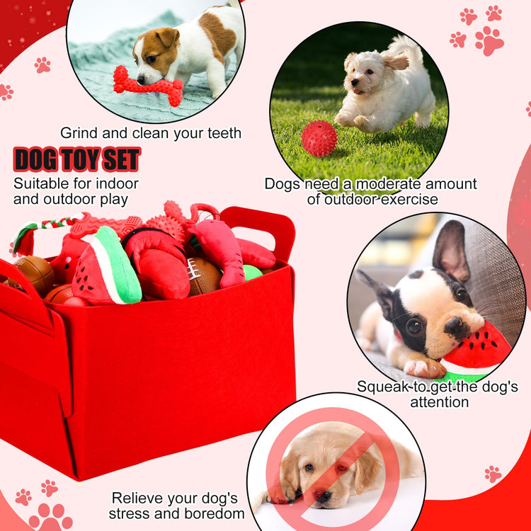 Abbylike 50 Pcs Puppy Supplies Starter Kit for Small Dogs Puppy Essentials Includes Leash, Bowls, Teeth Brushes, Water Bottle, and More Accessories for Dogs Pet Day Welcome Gift(Purple)