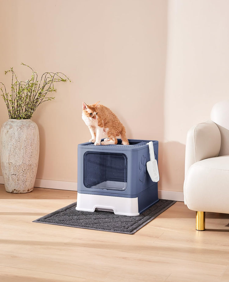Medario Cat Litter Box with Litter Mat and Scoop, Large Covered Litter Box with Lid, Enclosed Kitty Box, Front Entry Top Exit, Odor Control, Easy to Clean (Grey)
