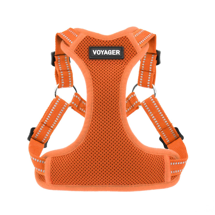 Best Pet Supplies Voyager Adjustable Step-in Flex Breathable Mesh Dog Harness for Small Medium Large Dogs Leash Set (Purple), M