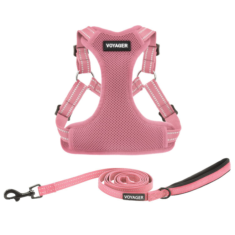 Best Pet Supplies Voyager Adjustable Step-in Flex Breathable Mesh Dog Harness for Small Medium Large Dogs Leash Set (Purple), M