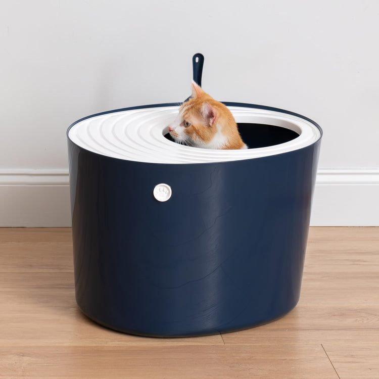 IRIS USA Cat Litter Box Large Open Top with High Sided Walls Tall Scatter Shield Scoop Included Easy Clean Plastic Pan Stain Resistant for Big Cats Kittens Indoor Multi-Cat Households