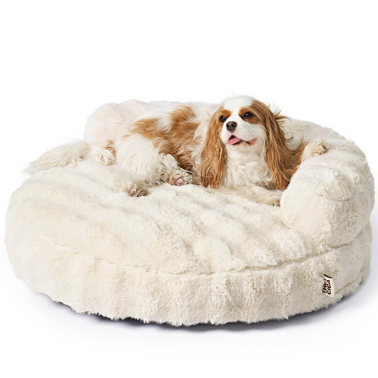 EHEYCIGA Soft Cat Couch Bed for Indoor Cats, Fluffy Small Dog Bed with Removable Washable Cover, Bolster Pet Sofa, Waterproof and Non-Slip, 23" x 23"x 7", Cream