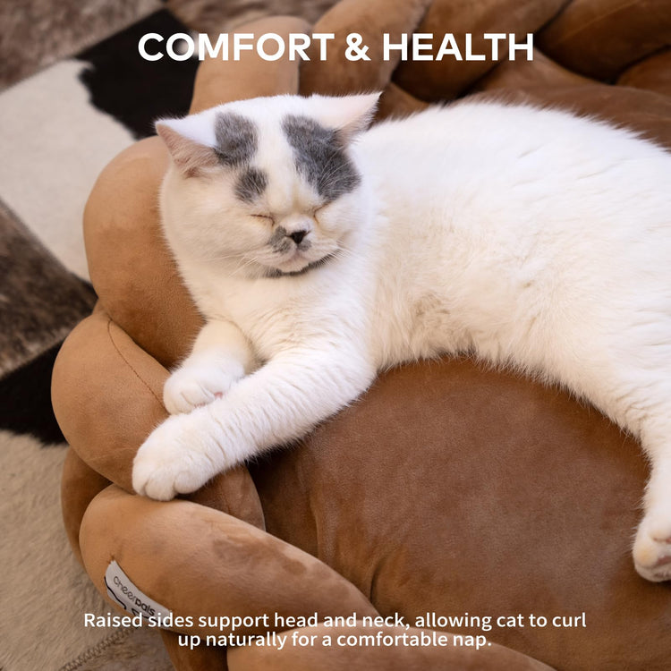 CHEERPALS Weave Cat Bed for Indoor Cats,Cute Pet Bed with Washable Cushion Fluffy Kitty Bed for Small Dog(Dark Gray)