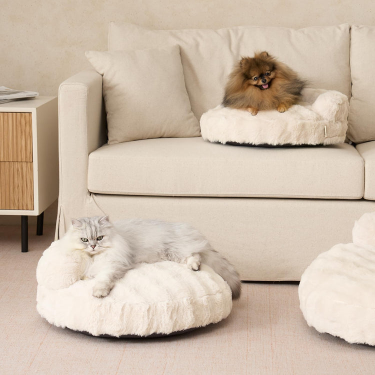 EHEYCIGA Soft Cat Couch Bed for Indoor Cats, Fluffy Small Dog Bed with Removable Washable Cover, Bolster Pet Sofa, Waterproof and Non-Slip, 23" x 23"x 7", Cream