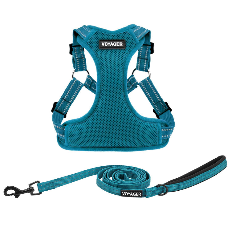 Best Pet Supplies Voyager Adjustable Step-in Flex Breathable Mesh Dog Harness for Small Medium Large Dogs Leash Set (Purple), M