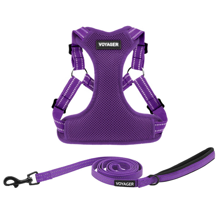 Best Pet Supplies Voyager Adjustable Step-in Flex Breathable Mesh Dog Harness for Small Medium Large Dogs Leash Set (Purple), M