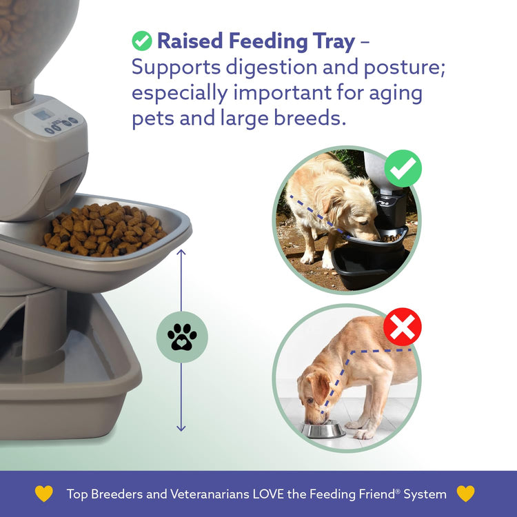 Feeding Friend® Automatic Dog & Cat Food Feeder with Water Dispenser –Smart Pet Feeder with Portion Control, OLED Display, Anti Jam Design, Battery Operated Dispenser for Small - (XS) Pets 4-15 Taupe