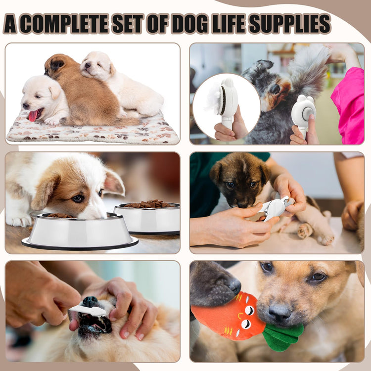 Abbylike 50 Pcs Puppy Supplies Starter Kit for Small Dogs Puppy Essentials Includes Leash, Bowls, Teeth Brushes, Water Bottle, and More Accessories for Dogs Pet Day Welcome Gift(Purple)