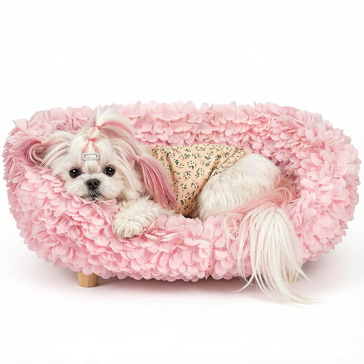halinfer Modern Pet Sofa for Small to Medium Cats and Dogs, Up to 20 Pounds, Living Room and Bedroom Pet Furniture Bed