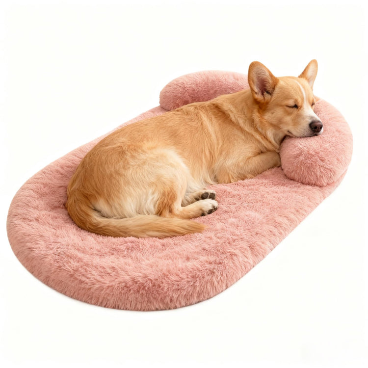 Orthopedic Dog Bed with Egg-Crate Base, Calming Dog & Cat Beds Long Plush with Raised Edges, Spine Friendly Pet Sleeping Mat for Small Medium Dogs, Machine Washable (Oval, Beige 26"x20")