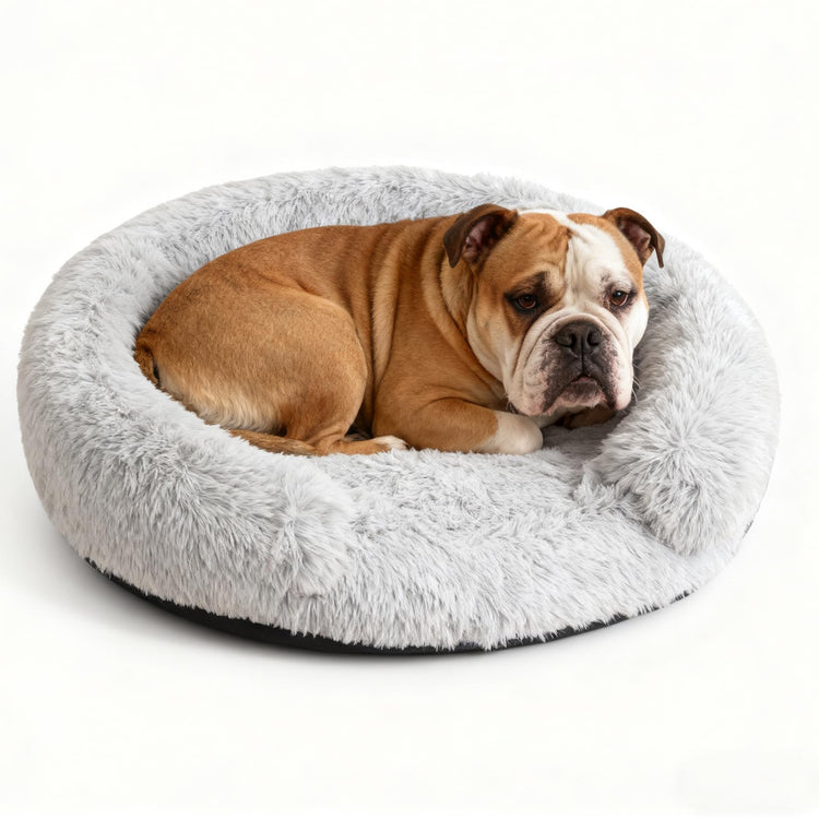 Orthopedic Dog Bed with Egg-Crate Base, Calming Dog & Cat Beds Long Plush with Raised Edges, Spine Friendly Pet Sleeping Mat for Small Medium Dogs, Machine Washable (Oval, Beige 26"x20")