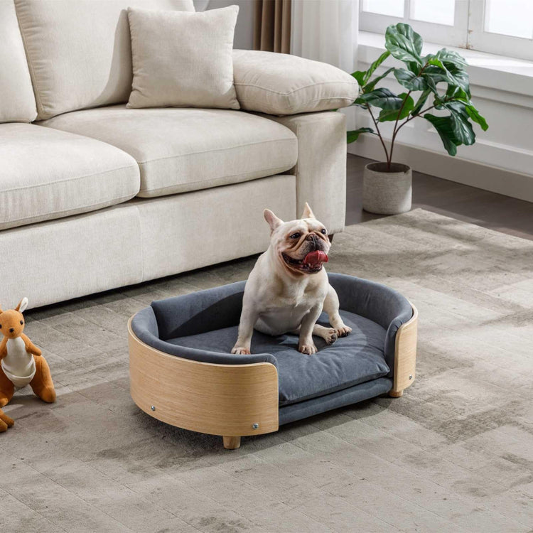 Velvet Dog Bed Pet Sofa with Solid Wood Legs and Bent Wood Back, Stain-Resistant Cushion in Multiple Colors - Luxury Pet Furniture for Cats and Dogs, Dark Grey