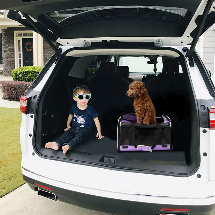 GAPZER Pet Carrier for Large Cats, Soft-Sided Cat Carrier for Medium Big Cats and Puppy up to 20lbs, Washable Dog Carrier Privacy Protection for Home Outdoor Travel