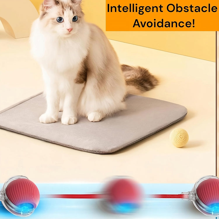 Purrmitive 2026 Durable Interactive Cat Toys for Indoor Cats, Dog Toys Ball, Rolling Pet Ball, Smart Automatic Cat Chase Balls Toy, Interactive Dog Toys Speedy Tail,Kitten & Cat Toys Interactive (Red)