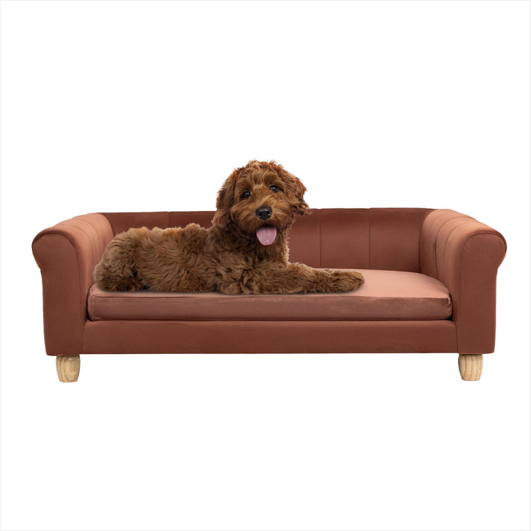 CRITTER SITTERS 33” Faux Suede Ped Bed in Brown, Durable Washable Sofa Couch for Small & Medium Cats & Dogs, Must Have Accessory for Yorkies, Shih Tzus & Frenchies, Kitten & Puppy Essential Furniture