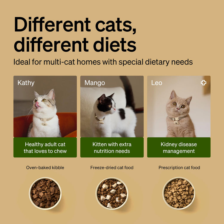 PETLIBRO RFID Automatic Cat Feeder, Collar Tag-Activated Personalized Meals, 5G&2.4G Wi-Fi Programmable Cat Food Dispenser with Cats Recognition & Diet Tracking for Multi-Pet Homes and Different Diets