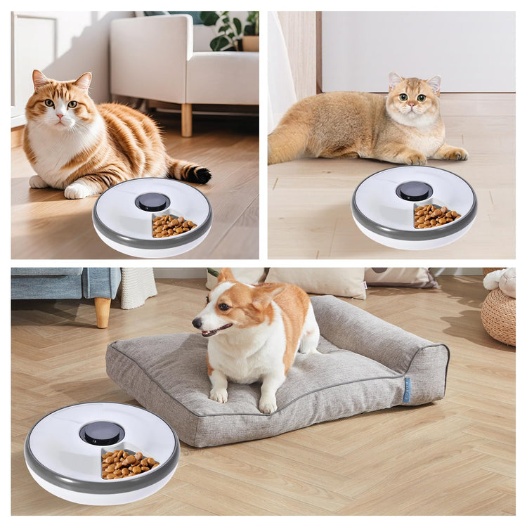 6-Meal Timed Automatic Cat & Dog Feeder with Cooling Pack, Programmable Portion Control Pet Food Dispenser for Dry & Semi-Wet Food, 12.4″×12.4″×2.99″