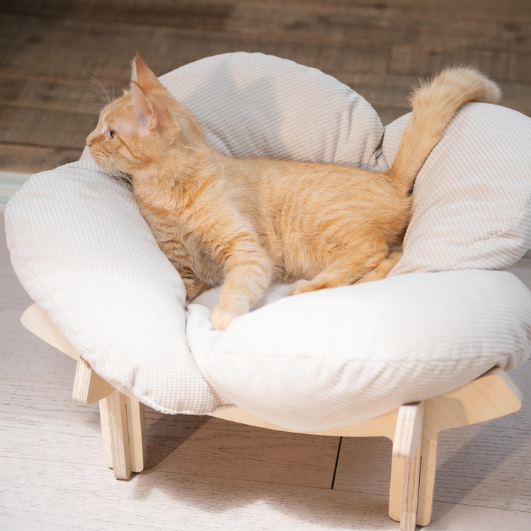 CHEERHOME PETS Elevated Cat Bed Wooden with Cushion Fluffy Pet Couch Sofa for Indoor Cats Raised Kitty Lounge Chair Suitable for Puppy, Cat Furniture(Pink)