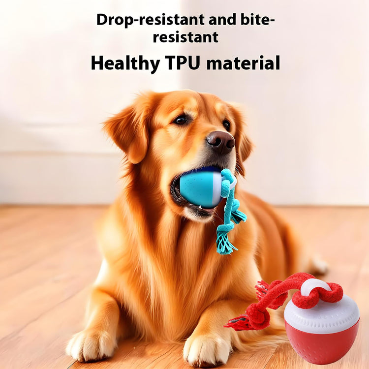 Interactive Dog Toys, Interactive Dog Ball with Birdsong Squeaky Chewable Rope for Small/Medium/Large Dogs,Automatic Moving Dogs Toy Wicked Ball for Boredom & Training,Dog Toys to Keep them Busy(Blue)