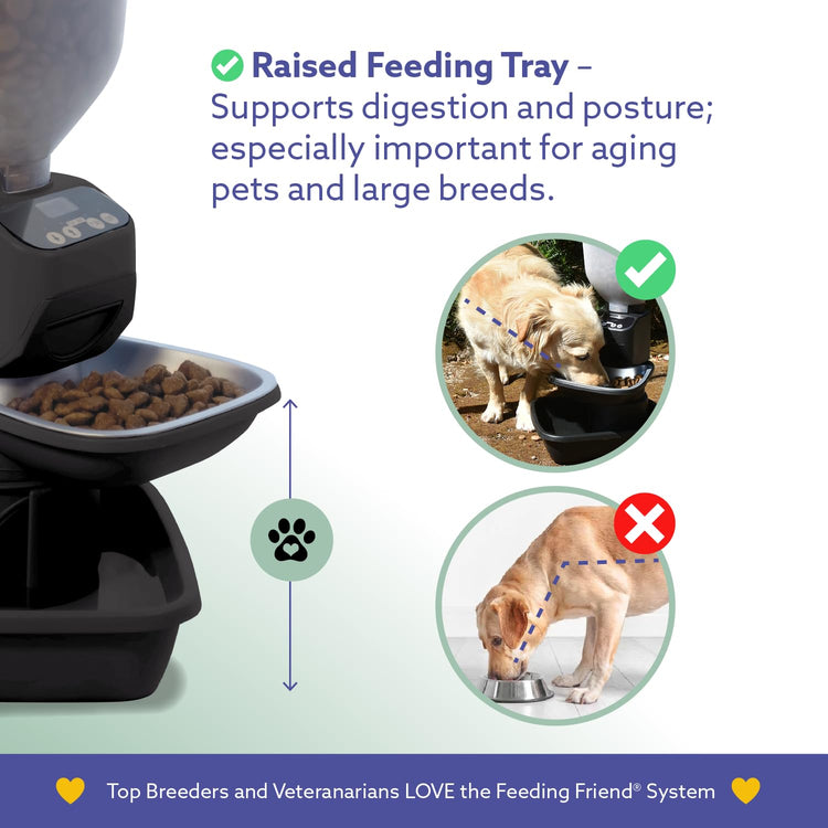 Feeding Friend® Automatic Dog & Cat Food Feeder with Water Dispenser –Smart Pet Feeder with Portion Control, OLED Display, Anti Jam Design, Battery Operated Dispenser for Small - (XS) Pets 4-15 Taupe