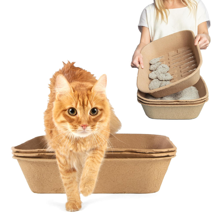 Kitty Sift Disposable Cat Litter Box Large, 6 Count, Durable Portable for Travel and Home, Eco-Friendly Disposable Litter Box Controls Odor
