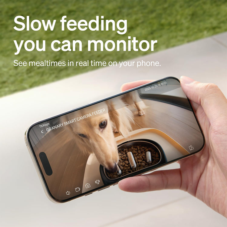 PETLIBRO Automatic Cat Feeder, 5G WiFi Automatic Pet Feeder with Freshness Preservation, 3L Timed Cat Feeders for Dry Food, Up to 48 Portions 10 Meals Per Day, Granary Pet Feeder for Cat/Dog, White