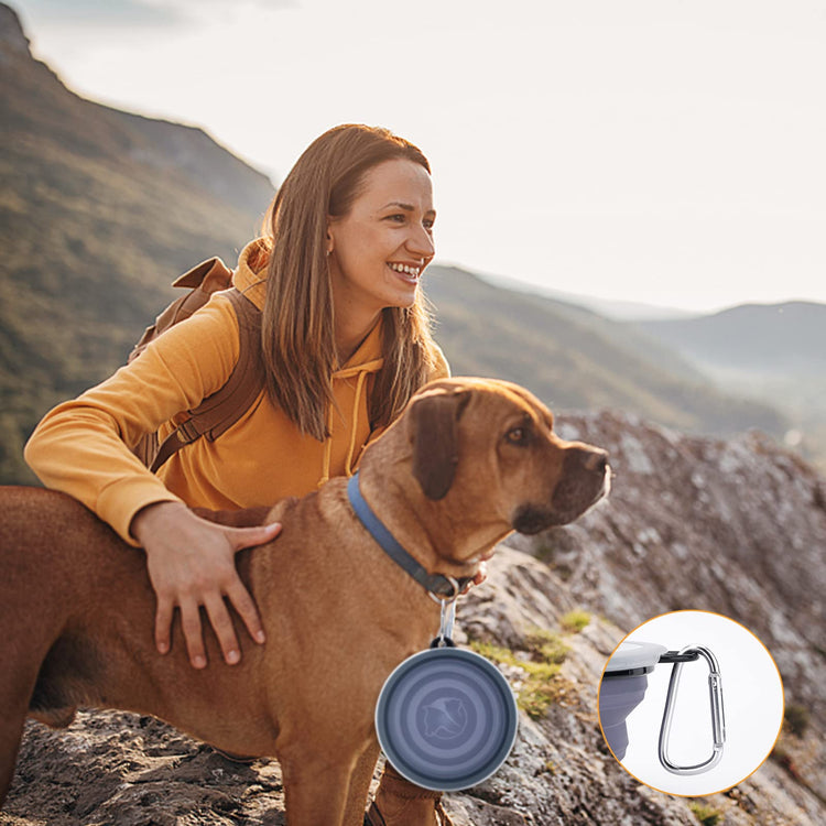 SLSON Collapsible Bowl with Cover Lids,2 Pack Dog Travel Bowls Portable Foldable Cat Water Dish Bowl for Pets Walking Parking Camping (Light Blue and Green, Small)