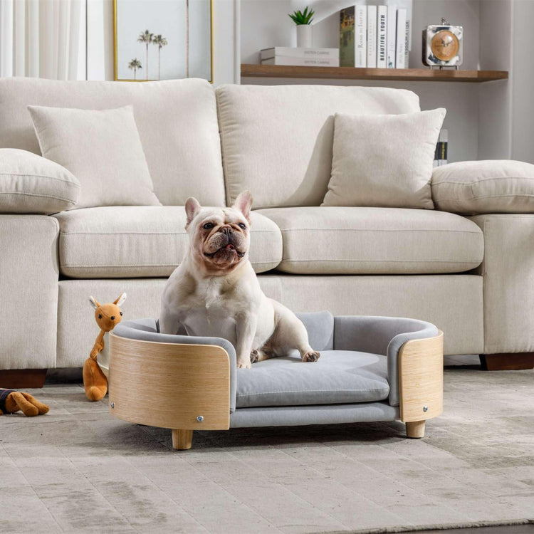 Velvet Dog Bed Pet Sofa with Solid Wood Legs and Bent Wood Back, Stain-Resistant Cushion in Multiple Colors - Luxury Pet Furniture for Cats and Dogs, Dark Grey
