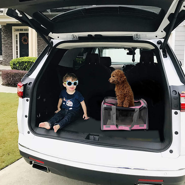 GAPZER Pet Carrier for Large Cats, Soft-Sided Cat Carrier for Medium Big Cats and Puppy up to 20lbs, Washable Dog Carrier Privacy Protection for Home Outdoor Travel