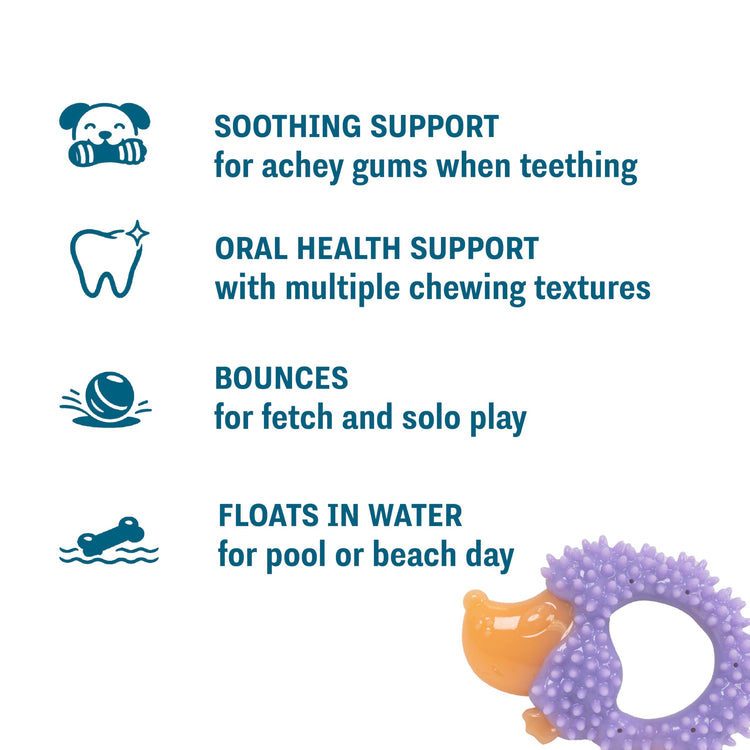 Cutie Chewies Hedgehog Dental Dog Chew Toy — Multi-Textured, Massages Gums, Floats & Bounces for Teething Puppies & Small Dogs, 5" x 3.5" x 1"