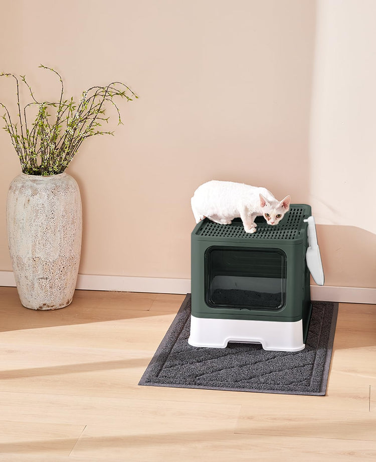 Medario Cat Litter Box with Litter Mat and Scoop, Large Covered Litter Box with Lid, Enclosed Kitty Box, Front Entry Top Exit, Odor Control, Easy to Clean (Grey)