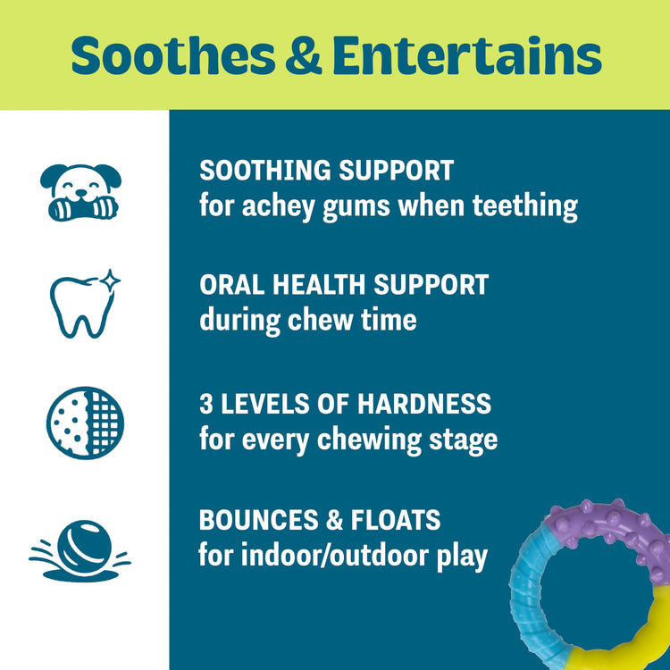 Cutie Chewies Hedgehog Dental Dog Chew Toy — Multi-Textured, Massages Gums, Floats & Bounces for Teething Puppies & Small Dogs, 5" x 3.5" x 1"