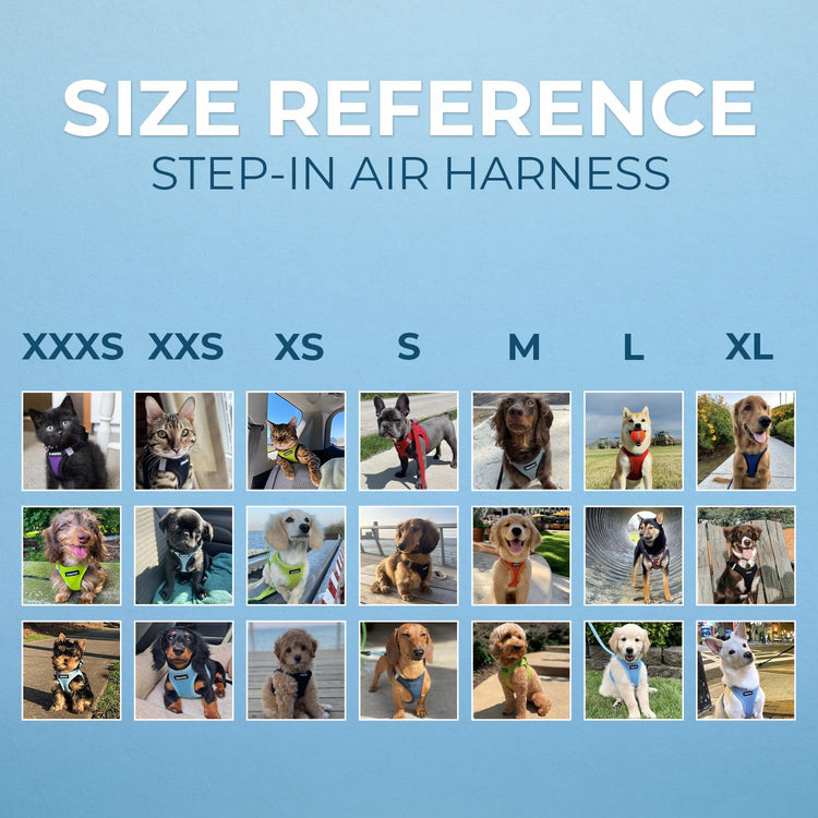 Best Pet Supplies - All Weather Mesh / Plush, Reflective, No Pull Harness for Small, Medium Dogs, Cats - Secure with Hook & Loop Fastener, Buckle, Double D-Rings - Baby Blue/Black Trim, XL